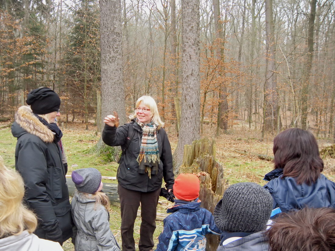 Wandertag Februar 2011