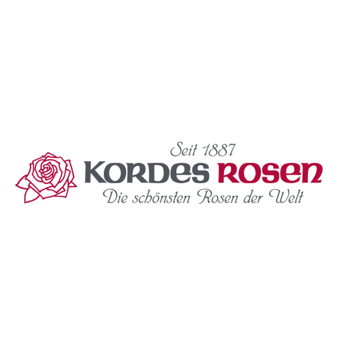 Logo Kordes Rosen